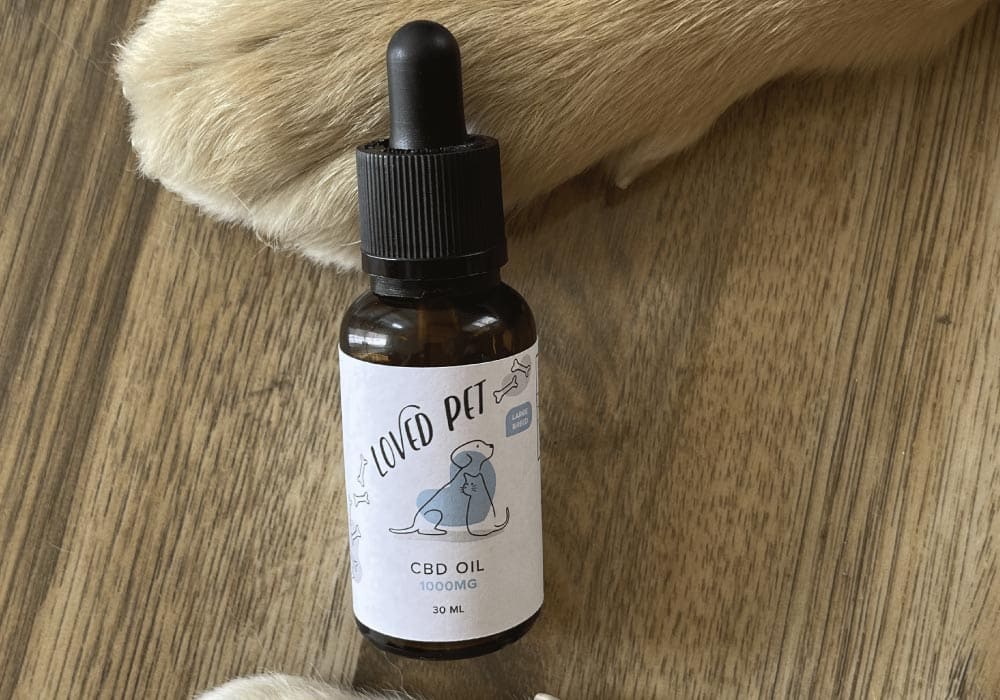 Best CBD for dogs Canada