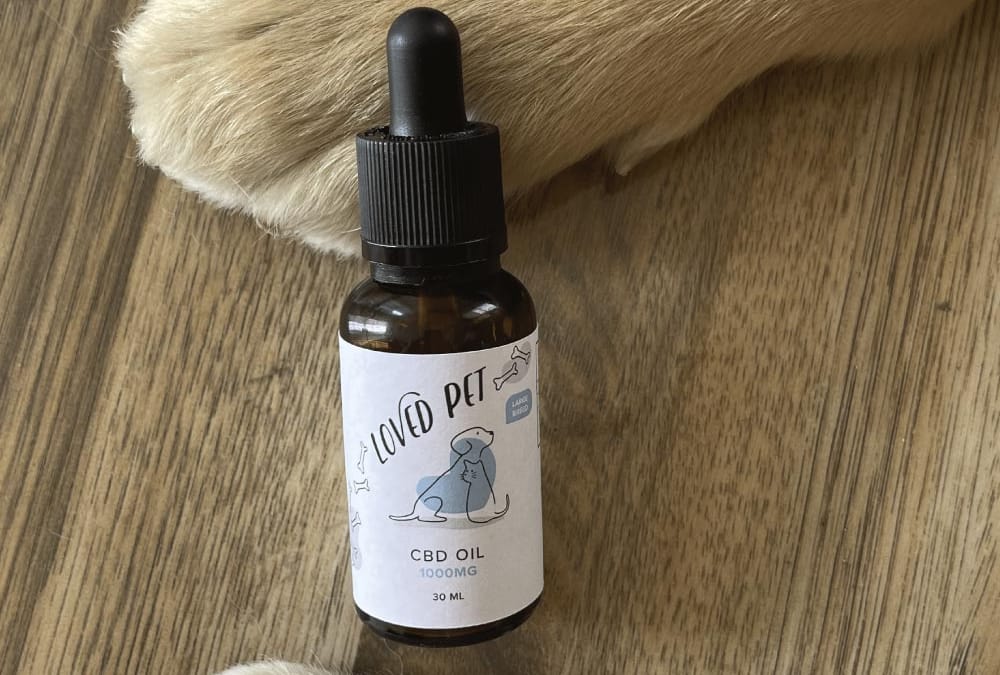 CBD for Dogs: The Best Supplement for Your Pet